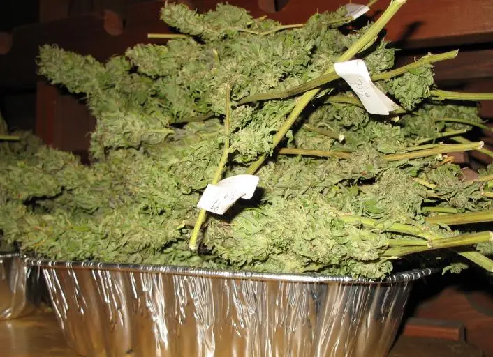 Northeast Ohio Cities Ban or Pause Marijuana Sales Ahead of Statewide Rollout