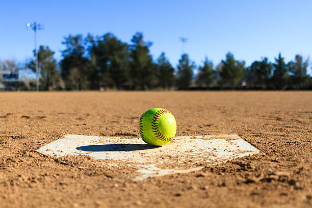Softball: Twinsburg Varsity Tigers Come Up Short Against Holy Name Varsity Green Wave