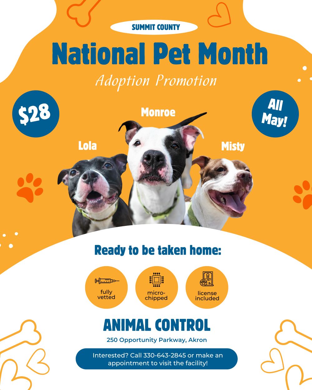 Pet Adoption Costs Drop During National Pet Month