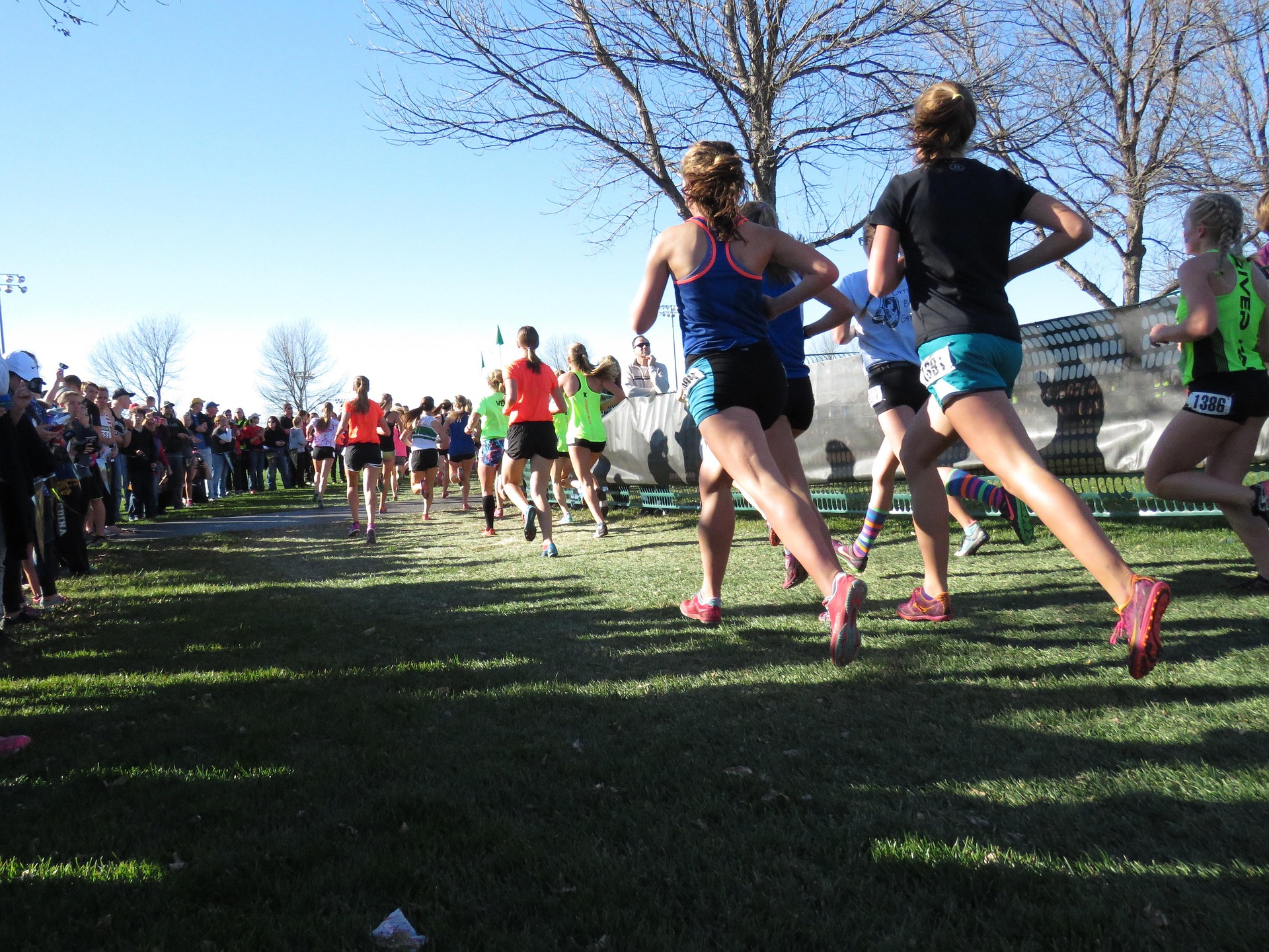 Northeast Ohio Teams Punch Tickets to State Cross Country Championships