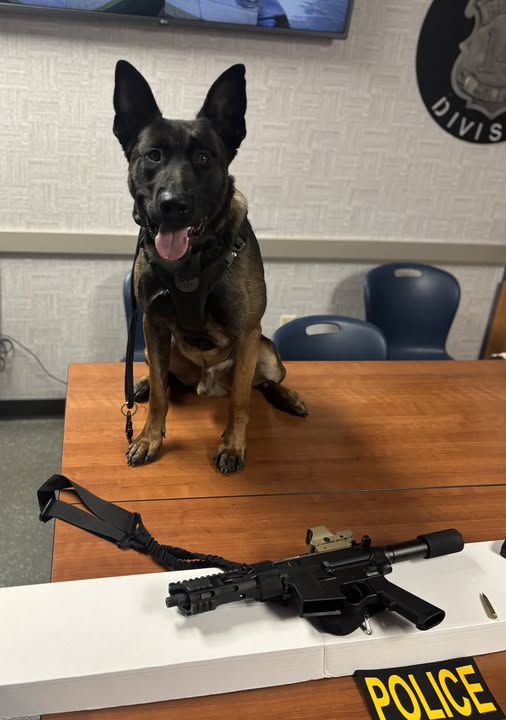 Euclid K9 Officer Makes First Gun Seizure in Teen Threat Case