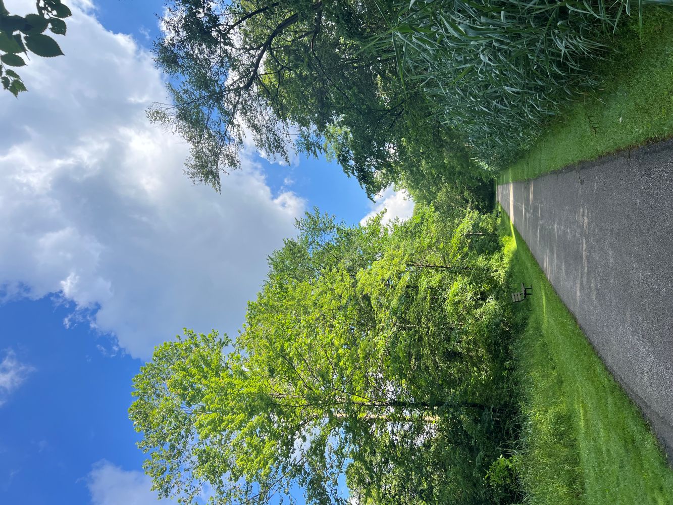 The Power of Distraction: How Multitasking Can Extend Your Walking Distance