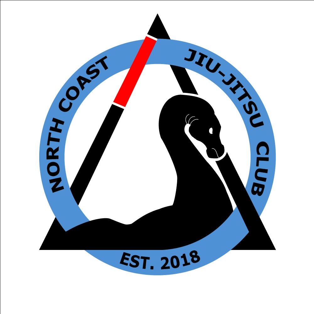 North Coast Jiu-Jitsu Club Opens New Facility in Northfield Village