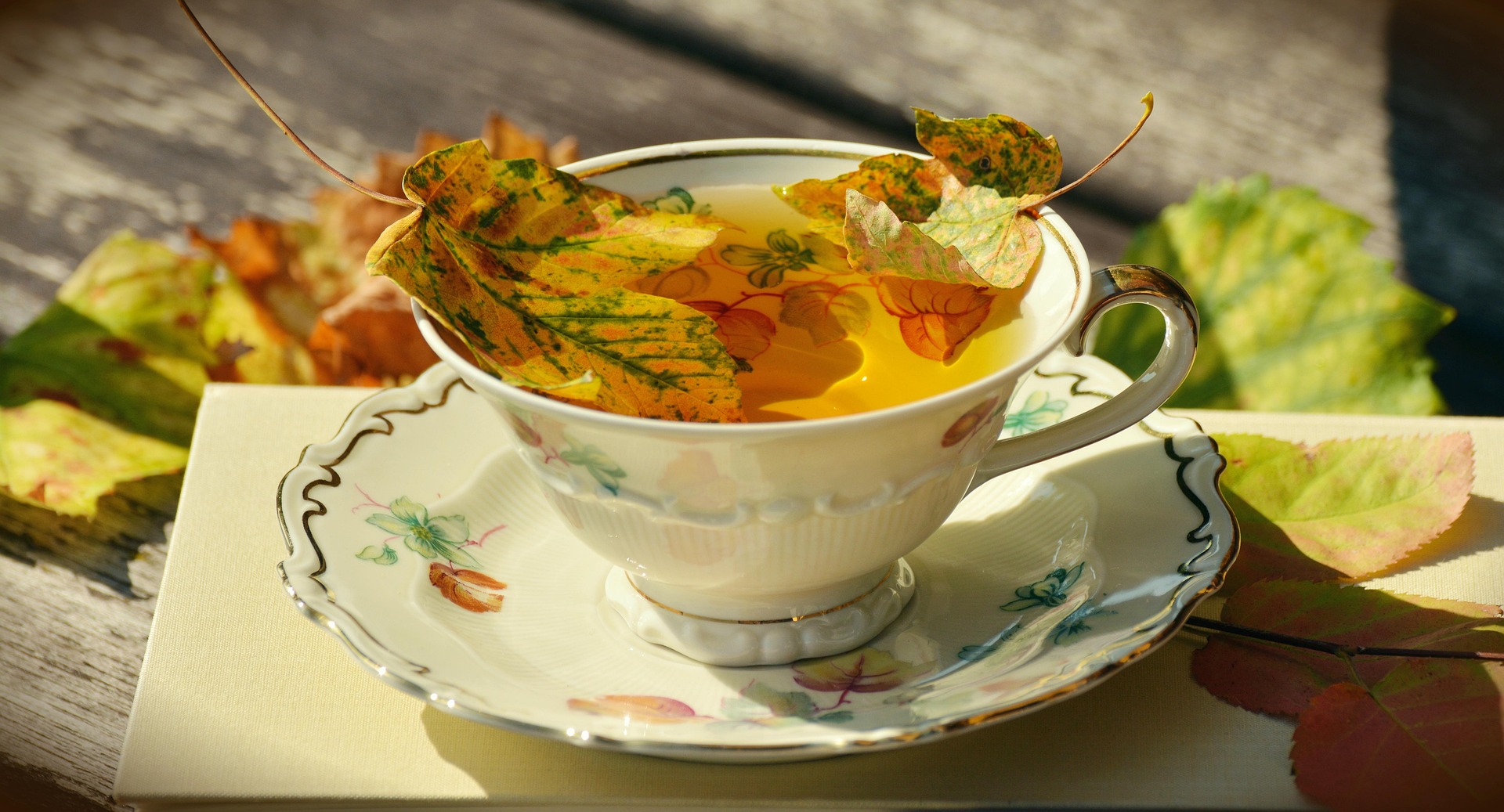 Wait, It's Fall Already? How to Pivot Your Garden After Summer's Sudden Exit