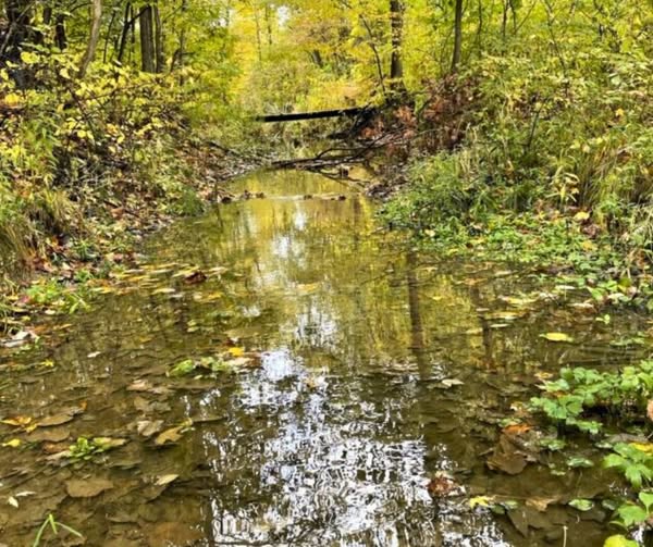 Hudson City Announces Fall Leaf Collection, Community Events