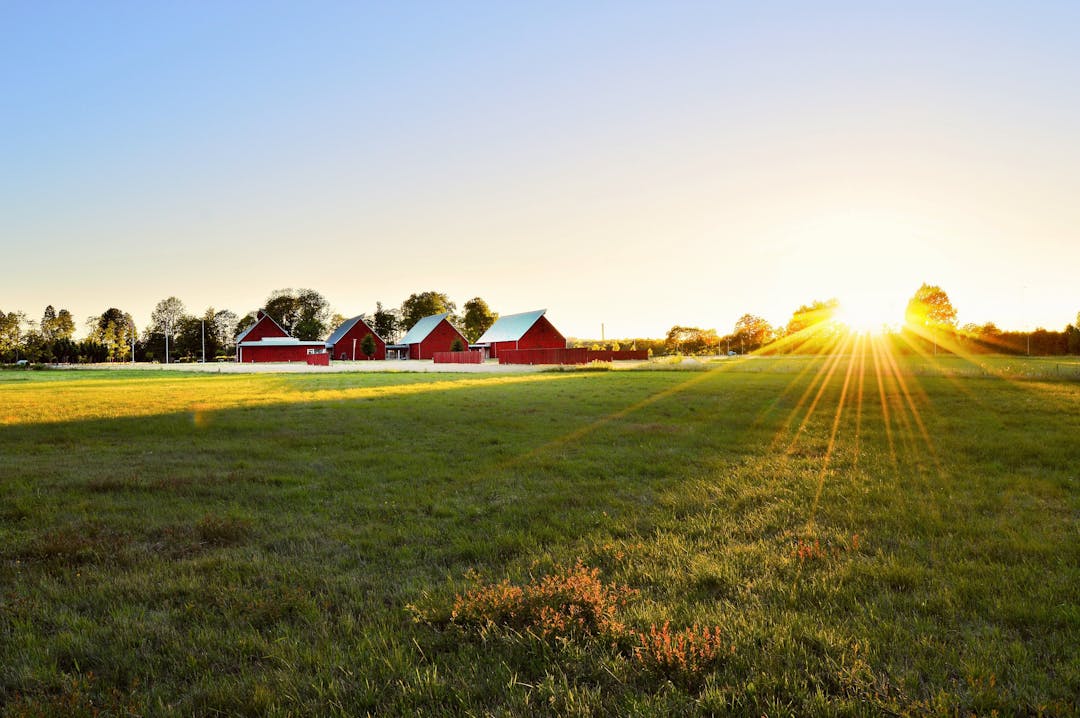 Ohio Rural Health Transformation, $200 Million Award, Expanded School-Based Care