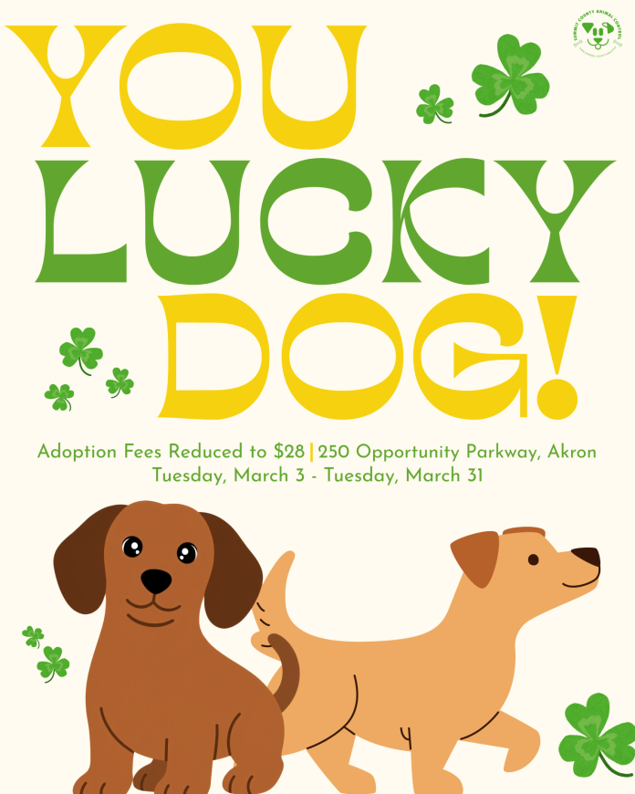 Volunteer and happy dog at Summit County Animal Control during the “You Lucky Dog!” adoption event offering $28 dog adoptions in Akron.